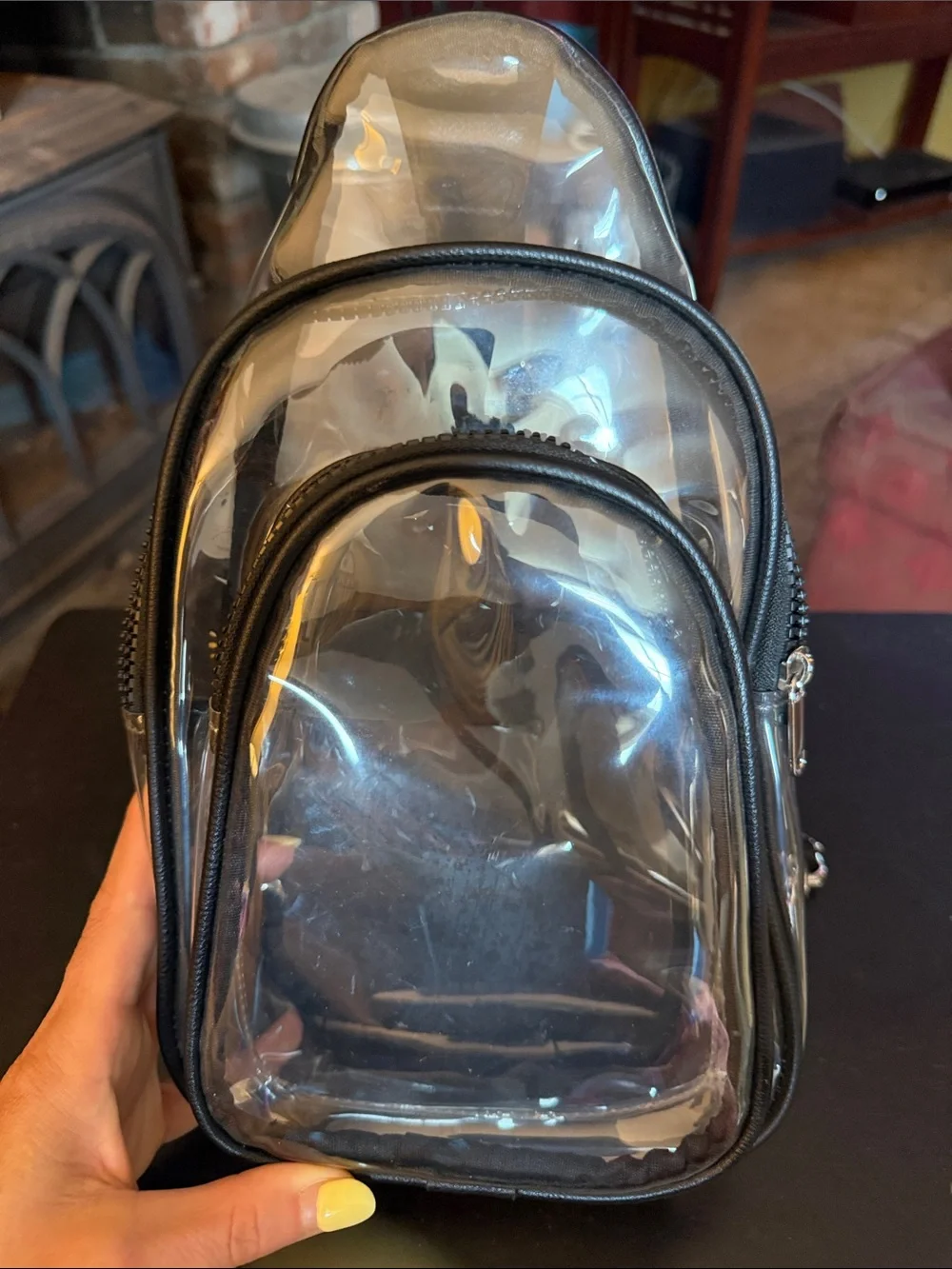 Clear PVC Black-Trim Crossbody Bag